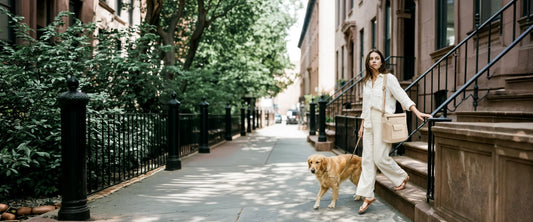 Woman walking golden retriever 
on Brooklyn brownstone street, 
cream canvas crossbody bag 
with woven mesh panel, 
slow morning city lifestyle, 
SYVAIRA Walk Companion